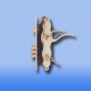 MORTISE LOCKSET