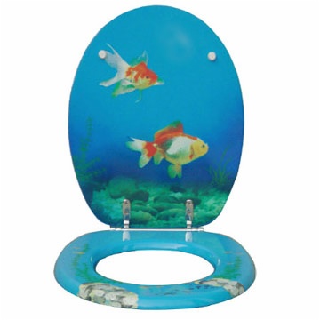 Toilet cover