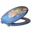 Toilet seat