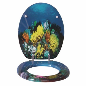 Toilet cover