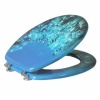 Toilet seat