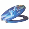 Toilet seat