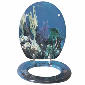Toilet seats