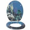 Toilet seats