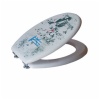 Toilet seat