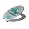 Toilet seat