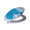Toilet seats